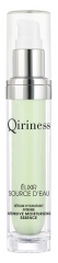 Qiriness Elixir de Fuente de Agua Suero Hidratante Intenso 30 ml Qiriness Elixir de Fuente de Agua Suero Hidratante Intenso 30 ml