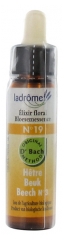Ladrôme Flower of Bach Floral Elixir No3 : Beech 10ml Ladrôme Flower of Bach Floral Elixir No3 : Beech 10ml