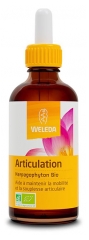 Weleda Articulation Harpagophytum Bio 60 ml Weleda Articulation Harpagophytum Bio 60 ml