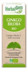 HerbalGem Bio Ginkgo Biloba 30 ml HerbalGem Bio Ginkgo Biloba 30 ml