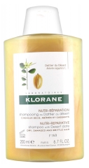 Klorane Nährendes und Reparierendes Shampoo mit Wüstendattel 200 ml Klorane Nährendes und Reparierendes Shampoo mit Wüstendattel 200 ml
