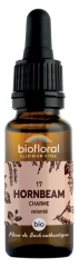 Biofloral Organic Bach Flowers Remedies Strength Will Hornbeam n°17 20 ml Biofloral Organic Bach Flowers Remedies Strength Will Hornbeam n°17 20 ml