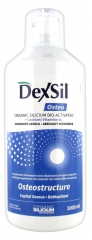 Dexsil Osteo Osteostructure 1000 ml Dexsil Osteo Osteostructure 1000 ml