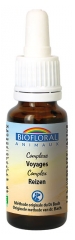 Biofloral Bachblüten Tierreisekomplex Biokomplex 20 ml Biofloral Bachblüten Tierreisekomplex Biokomplex 20 ml