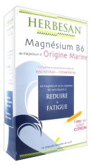 Herbesan Meeres-Magnesium B6 20 Ampullen Herbesan Meeres-Magnesium B6 20 Ampullen