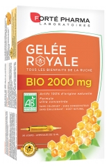 Forté Pharma Bio Gelee Royale 2000 mg 20 Ampullen Forté Pharma Bio Gelee Royale 2000 mg 20 Ampullen