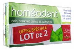 Boiron Homéodent Soin Complet Dents et Gencives Lot de 2 x 75 ml Boiron Homéodent Soin Complet Dents et Gencives Lot de 2 x 75 ml