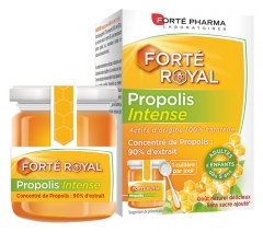 Forté Pharma Forté Royal Propolis Intense 40 g Forté Pharma Forté Royal Propolis Intense 40 g