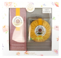 Roger & Gallet Coffret Eau Parfumée Bienfaisante Bois d'Orange 100 ml + Savon Parfumé Bois d'Orange 100 g Offert 2019 Roger & Gallet Coffret Eau Parfumée Bienfaisante Bois d'Orange 100 ml + Savon Parfumé Bois d'Orange 100 g Offert 2019