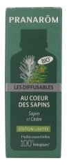 Pranarôm Les Diffusables Im Herzen Eines Tannenwaldes Bio 10 ml Pranarôm Les Diffusables Im Herzen Eines Tannenwaldes Bio 10 ml