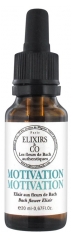 Elixirs & Co Motivation 20 ml Elixirs & Co Motivation 20 ml