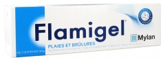 Mylan Flamigel Gel Cicatrisant 100 g Mylan Flamigel Gel Cicatrisant 100 g