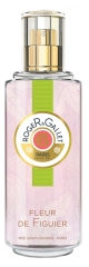 Roger & Gallet Duftendes Frisches Wasser Fleur de Figuier 100 ml Roger & Gallet Duftendes Frisches Wasser Fleur de Figuier 100 ml