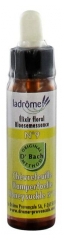 Ladrôme Fleurs De Bach Elixir Floral N°9 : Chèvrefeuille 10 ml Ladrôme Fleurs De Bach Elixir Floral N°9 : Chèvrefeuille 10 ml