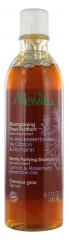 Melvita Champú Suave Purificante 200 ml Melvita Champú Suave Purificante 200 ml