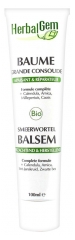 HerbalGem Beinwell-Balsam Bio 60 ml HerbalGem Beinwell-Balsam Bio 60 ml