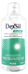 Dexsil Original Silicium Organique Solution Buvable 1 L Dexsil Original Silicium Organique Solution Buvable 1 L