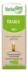 HerbalGem Bio Erable 30 ml HerbalGem Bio Erable 30 ml