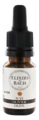 Elixirs & Co Elixirs De Bach N°23 Olive 10ml Elixirs & Co Elixirs De Bach N°23 Olive 10ml
