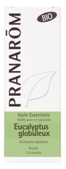 Pranarôm Huile Essentielle Eucalyptus Globuleux (Eucalyptus globulus) Bio 10 ml Pranarôm Huile Essentielle Eucalyptus Globuleux (Eucalyptus globulus) Bio 10 ml