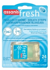 Assanis Frisches Aroma Blätter 24 Einheiten Assanis Frisches Aroma Blätter 24 Einheiten