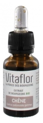 Vitaflor Extrait de Bourgeons Bio Chêne 15 ml Vitaflor Extrait de Bourgeons Bio Chêne 15 ml