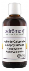 Ladrôme Bio Calophylle Öl 100 ml Ladrôme Bio Calophylle Öl 100 ml