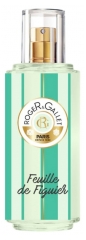 Roger & Gallet Agua Perfumada Bienfaisante Feuille de Figuier 100 ml Roger & Gallet Agua Perfumada Bienfaisante Feuille de Figuier 100 ml
