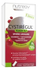 Nutreov Cystirégul Flash 5J 5 Sticks Nutreov Cystirégul Flash 5J 5 Sticks