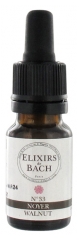 Elixirs & Co Elixirs De Bach N°33 Noyer 10 ml Elixirs & Co Elixirs De Bach N°33 Noyer 10 ml