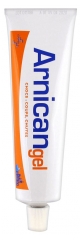 Arnican Gel 100 g Arnican Gel 100 g