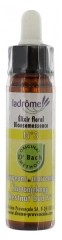 Ladrôme Fleurs De Bach Elixir Floral N°3 : Bourgeons marronnier 10 ml Ladrôme Fleurs De Bach Elixir Floral N°3 : Bourgeons marronnier 10 ml