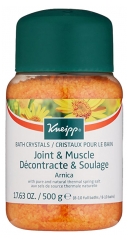 Kneipp Bath Salts Arnica 500g Kneipp Bath Salts Arnica 500g