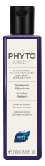 Phyto Silber Silber Shampoo Dejauning Shampoo 250 ml Phyto Silber Silber Shampoo Dejauning Shampoo 250 ml