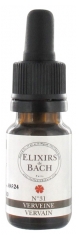 Elixirs & Co Elixirs De Bach N°31 Vervain 10ml Elixirs & Co Elixirs De Bach N°31 Vervain 10ml