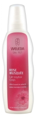 Weleda Lait Soyeux Corps à la Rose Musquée 200 ml Weleda Lait Soyeux Corps à la Rose Musquée 200 ml