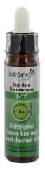 Ladrôme Bachblütenelexier Blütenessenz Nr. 7 : Edelkastanie 10 ml Ladrôme Bachblütenelexier Blütenessenz Nr. 7 : Edelkastanie 10 ml