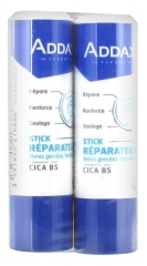 Addax Cica B5 Stick Réparateur Lèvres Lot de 2 x 4 g Addax Cica B5 Stick Réparateur Lèvres Lot de 2 x 4 g
