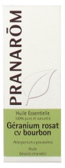 Pranarôm Essential Oil Rose Geranium cv Bourbon (Pelargonium graveolens) 10 ml Pranarôm Essential Oil Rose Geranium cv Bourbon (Pelargonium graveolens) 10 ml