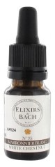 Elixirs & Co Bachblüten-Elixier Nr. 35 Roßkastanie 10 ml Elixirs & Co Bachblüten-Elixier Nr. 35 Roßkastanie 10 ml