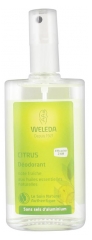 Weleda Déodorant au Citrus 100 ml Weleda Déodorant au Citrus 100 ml