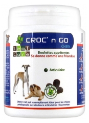 Leaf Care Croc'n Go Chien Boulettes 100 g Leaf Care Croc'n Go Chien Boulettes 100 g