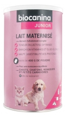 Biocanina Junior Lait Maternisé 400 g Biocanina Junior Lait Maternisé 400 g