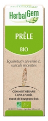 HerbalGem Schachtelhalm Bio 30 ml HerbalGem Schachtelhalm Bio 30 ml