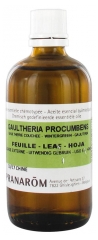 Pranarôm Essential Oil Wintergreen (Gaultheria procumbens) 100 ml Pranarôm Essential Oil Wintergreen (Gaultheria procumbens) 100 ml