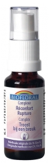 Biofloral Bach Flowers Organic Complex Comfort Breakup C21 20 ml Biofloral Bach Flowers Organic Complex Comfort Breakup C21 20 ml