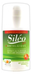 BIOpreventis Siléo Juntas Gel Antalgic 75 g BIOpreventis Siléo Juntas Gel Antalgic 75 g