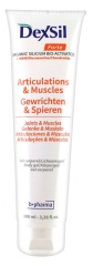 Dexsil Forte Articulations + MSM Glucosamine Chondroïtine Gel Corporel 100 ml Dexsil Forte Articulations + MSM Glucosamine Chondroïtine Gel Corporel 100 ml