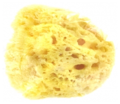 Estipharm Venise Natural Sponge Estipharm Venise Natural Sponge