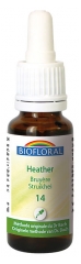 Biofloral Bachblüten Kommunikation Geselligkeit Heide Nr. 14 Bio 20 ml Biofloral Bachblüten Kommunikation Geselligkeit Heide Nr. 14 Bio 20 ml